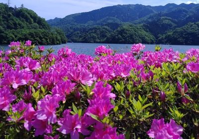 Lake Sagami