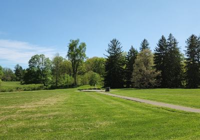 Hayes Arboretum