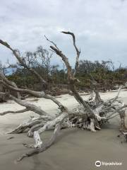 Blackbeard Island National Wildlife Refuge