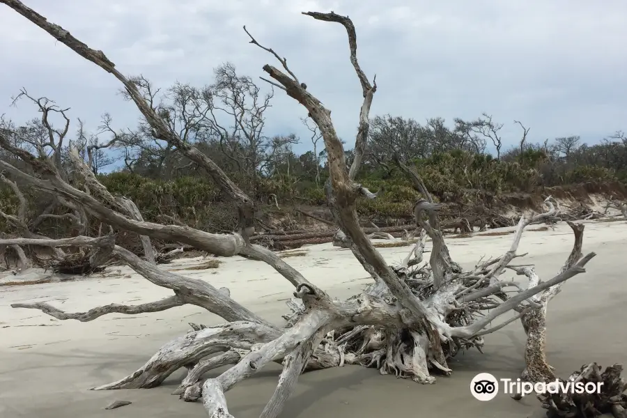 Blackbeard Island National Wildlife Refuge