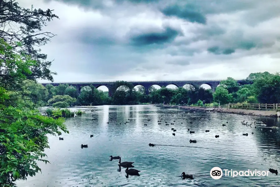 Reddish Vale Country Park