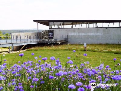 Caverne du Dragon, Musee du Chemin des Dames