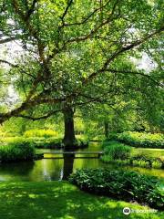 Longstock Park Water Gardens (John Lewis Partnership)