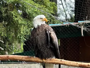 Sequoia Park Zoo