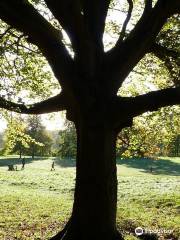 Wandlebury Country Park