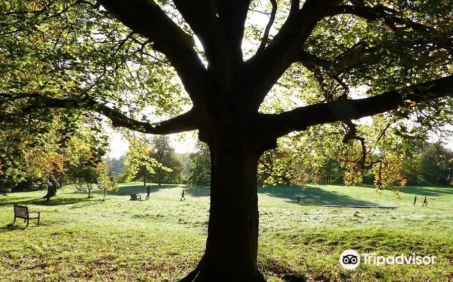 Wandlebury Country Park