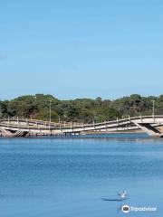 Leonel Viera Bridge