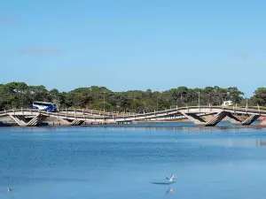 Leonel Viera Bridge