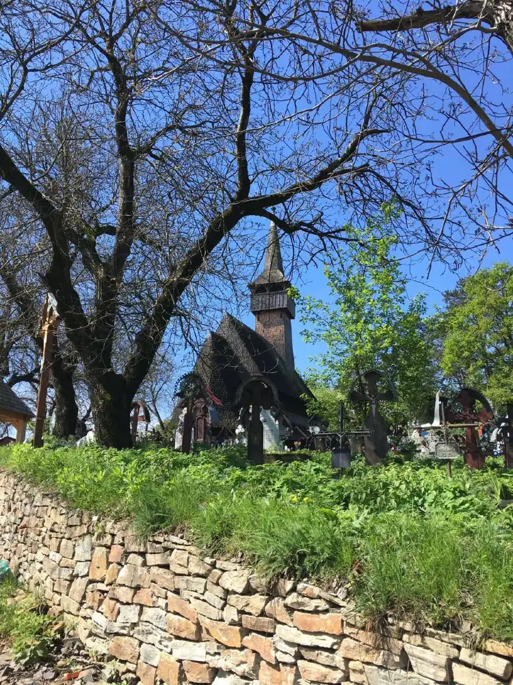 Hotels in Surdesti