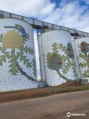 Ravensthorpe Silo Art