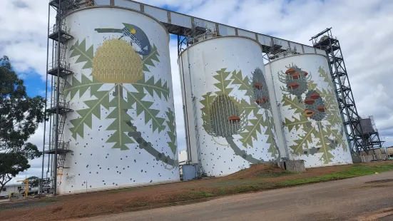 Ravensthorpe Silo Art