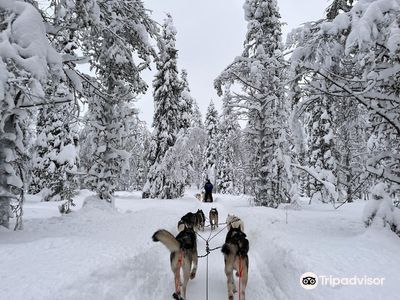 Rami's Huskies