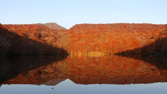 Tsutanuma Pond