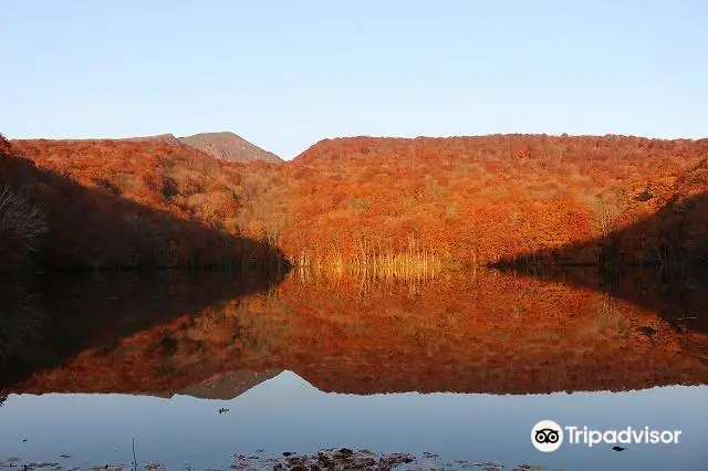 Tsutanuma Pond