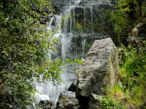 Whangarei Quarry Gardens