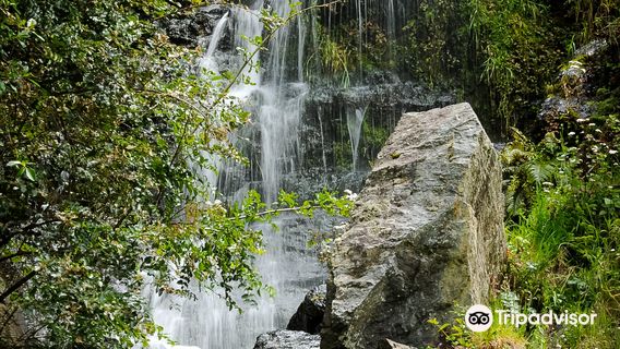 Whangarei Quarry Gardens
