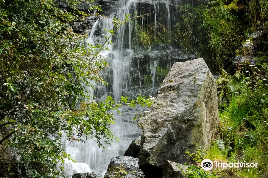 Whangarei Quarry Gardens