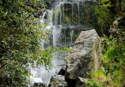 Whangarei Quarry Gardens