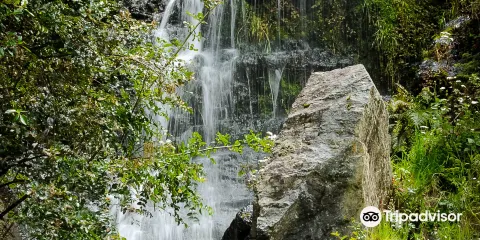 Whangarei Quarry Gardens