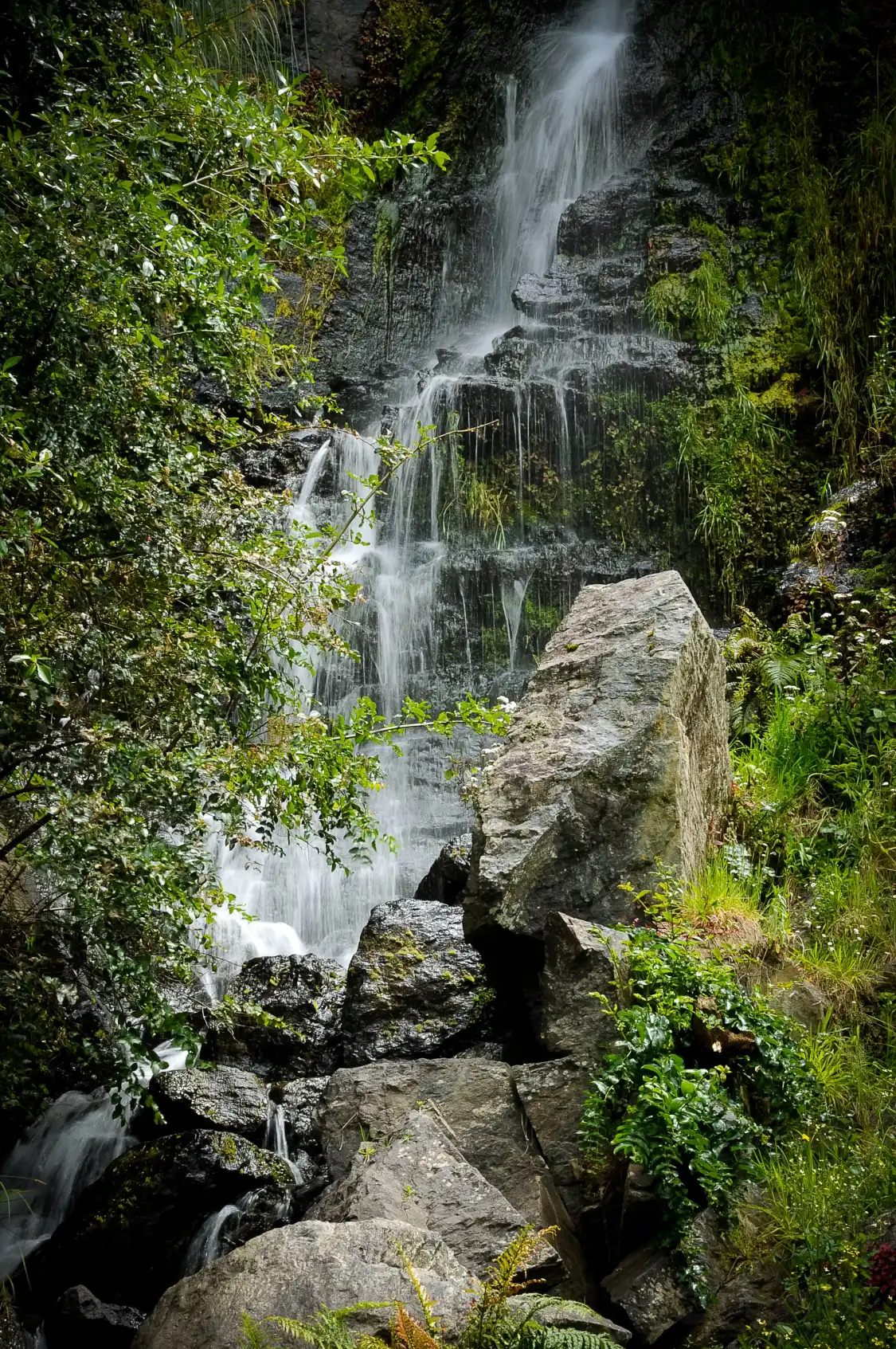 Hotel dekat Whangarei Quarry Gardens