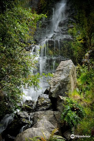 Whangarei Quarry Gardens