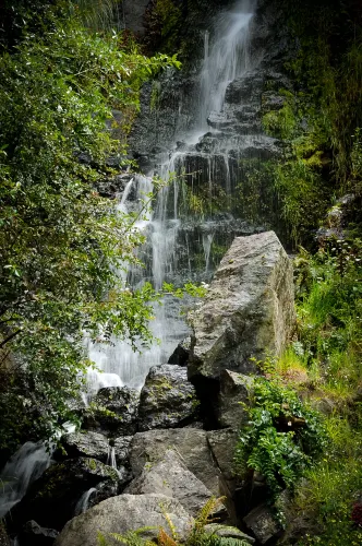 Whangarei Quarry Gardens