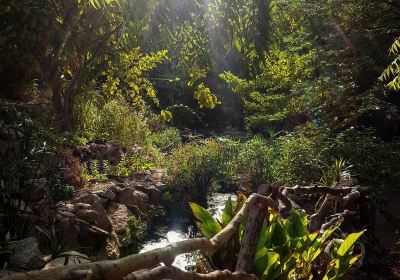 Botanical Garden Of Eilat