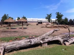 ローリング・ヒルズ動物園