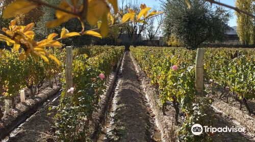 Bodega Cabrini