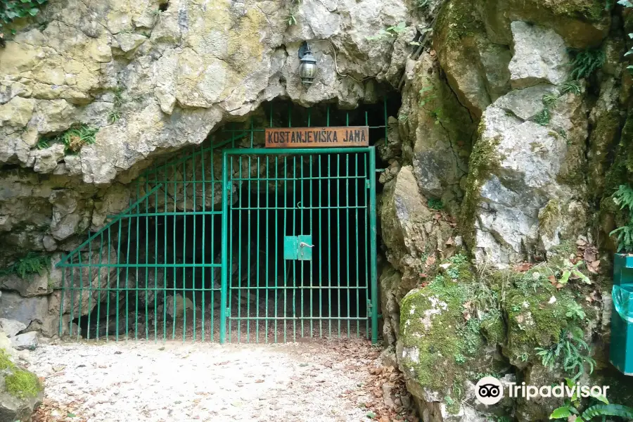 Kostanjevica Cave