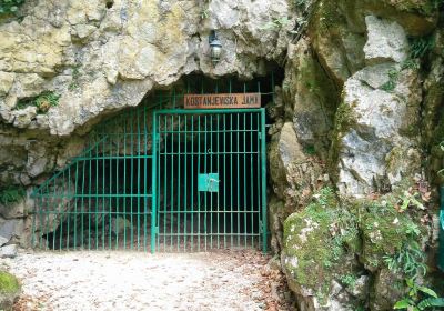 Kostanjevica Cave