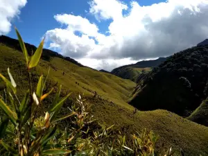 Dzukou Valley