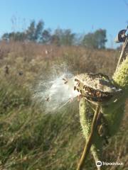 Dahlem - Jackson's Nature Place