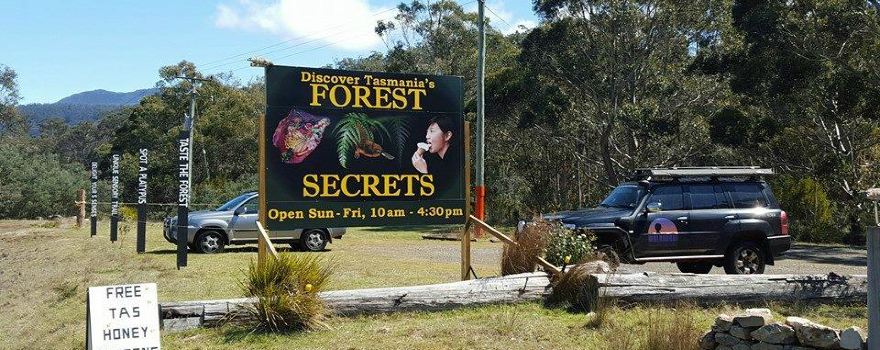 FOREST SECRETS