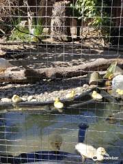 Parc aux animaux du Bois-de-la-Batie