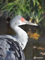 コハンジック動物園