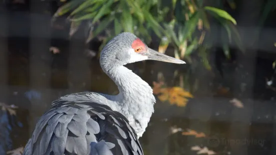 Cohanzick Zoo