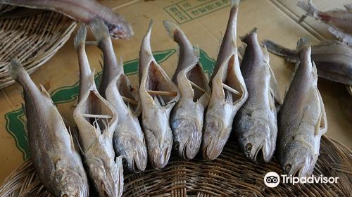 Yeosu Fish Market