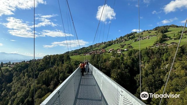 Panorama bridge Sigriswil