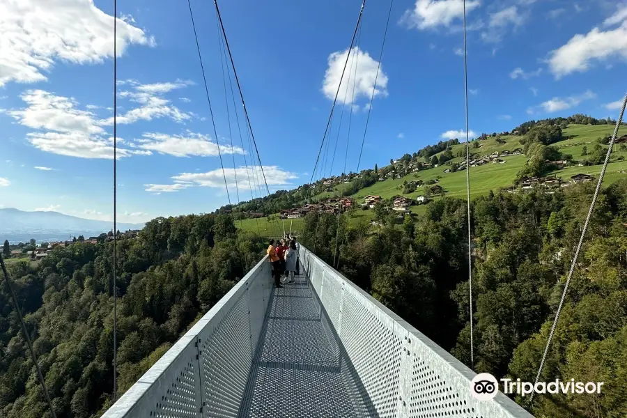 Panorama bridge Sigriswil