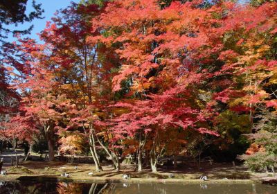 Gifu Sogi Koen