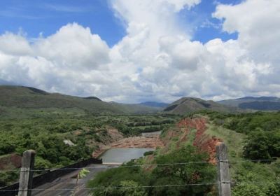 Yaguará