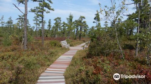 Saco Heath Preserve