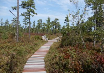 Saco Heath Preserve