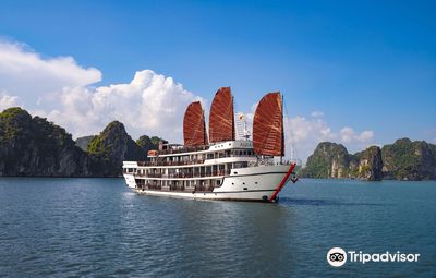 Alisa Premier Cruise- Best Cruise in Halong Bay
