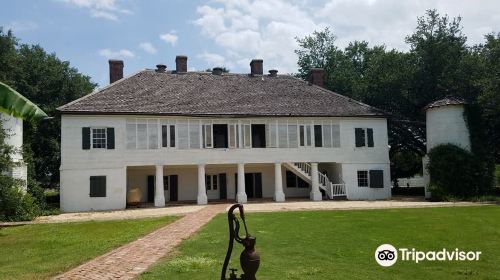 Whitney Plantation