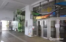 沖繩Music Town音市場