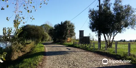 Pateira de Fermentelos