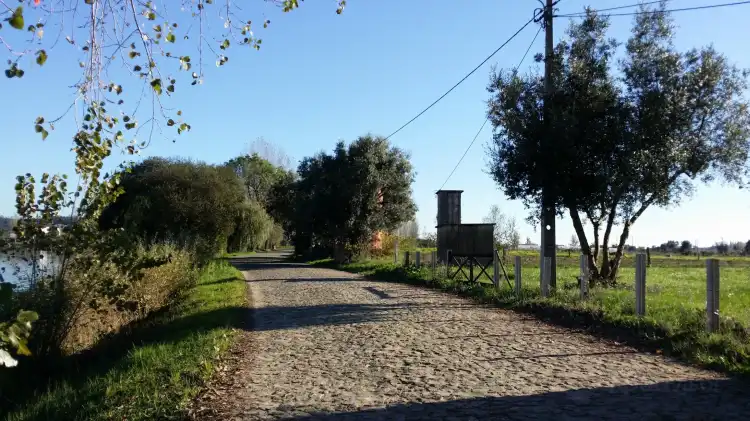 Hotels in Fermentelos