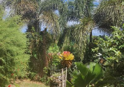 Palm Tree Gardens